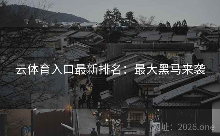云体育入口最新排名：最大黑马来袭