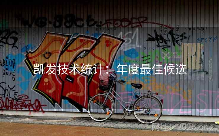凯发技术统计：年度最佳候选  第2张