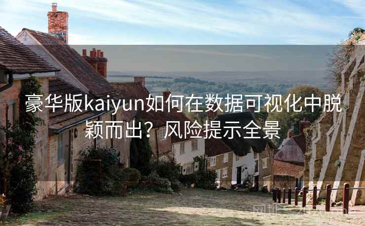 豪华版kaiyun如何在数据可视化中脱颖而出？风险提示全景