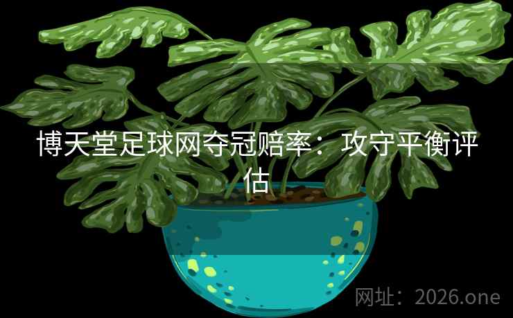 博天堂足球网夺冠赔率：攻守平衡评估  第2张