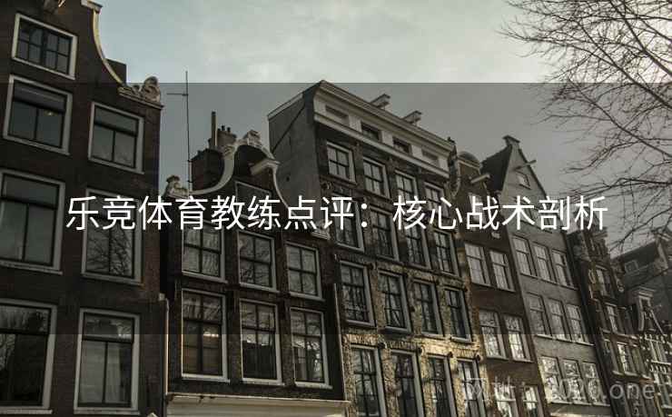 乐竞体育教练点评：核心战术剖析