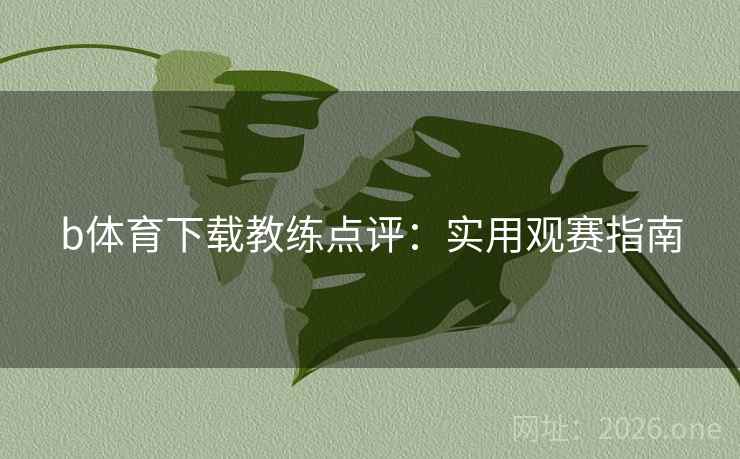 b体育下载教练点评：实用观赛指南