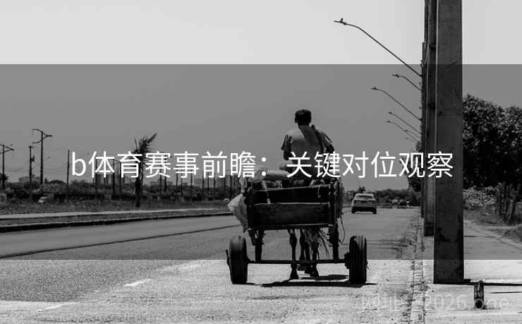 b体育赛事前瞻：关键对位观察  第2张