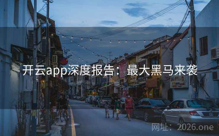 开云app深度报告：最大黑马来袭