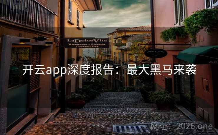 开云app深度报告:最大黑马来袭 第2张 开云app深度报告:最大黑马来袭 第2张