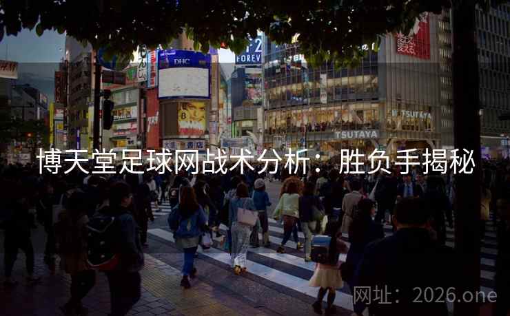 博天堂足球网战术分析:胜负手揭秘 第2张 博天堂足球网战术分析:胜负手揭秘 第2张