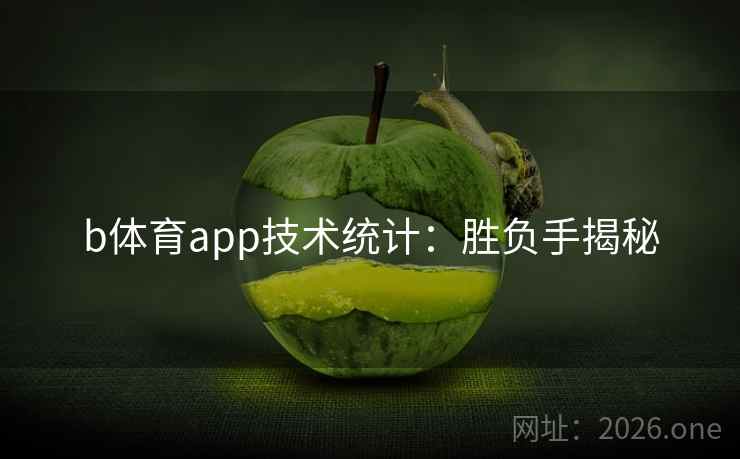 b体育app技术统计：胜负手揭秘  第2张