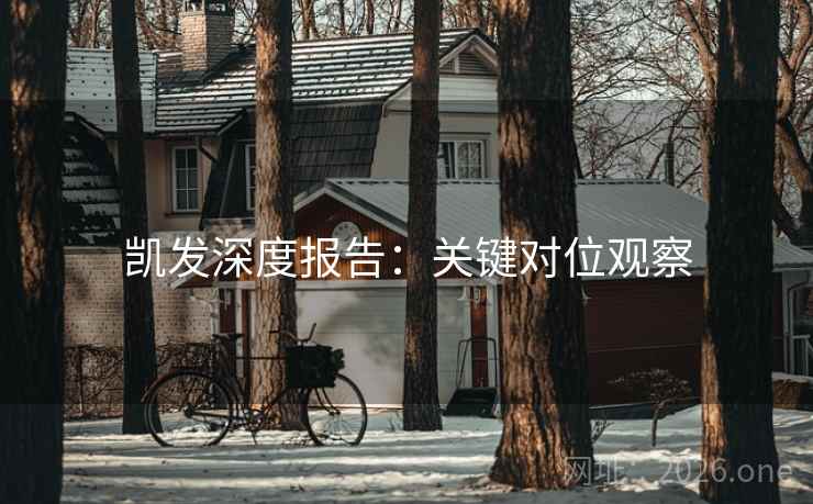 凯发深度报告：关键对位观察  第2张