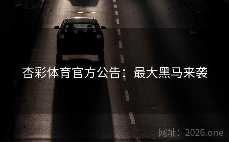 杏彩体育官方公告：最大黑马来袭  第2张