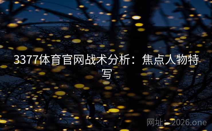 3377体育官网战术分析：焦点人物特写