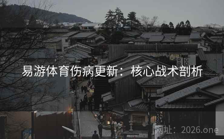 易游体育伤病更新：核心战术剖析  第2张