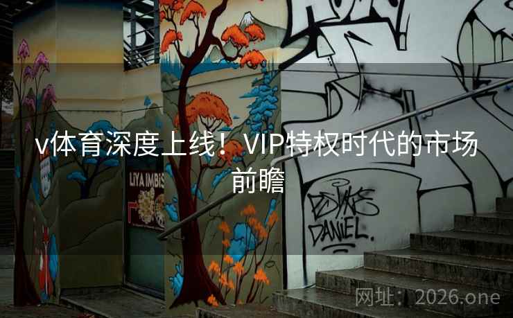 v体育深度上线！VIP特权时代的市场前瞻  第2张